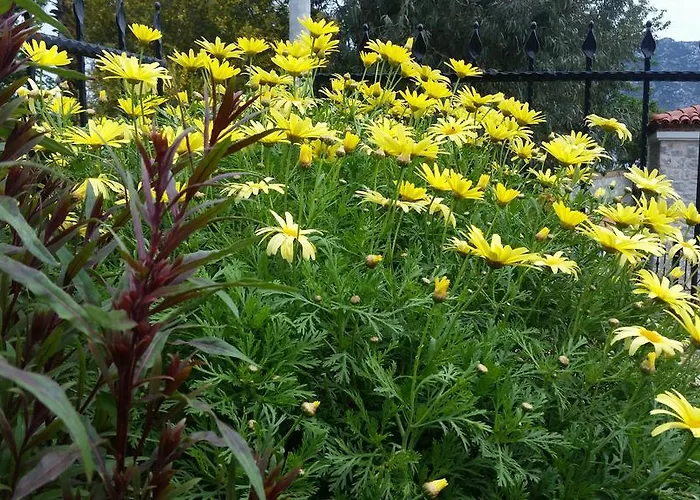 Portakal Butik 셀리미예